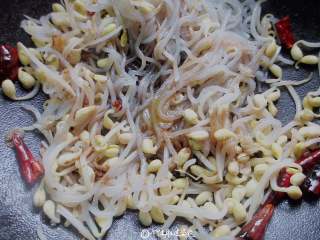 8、豆芽炒粉条,加入生抽，盐，鸡粉，翻炒调味