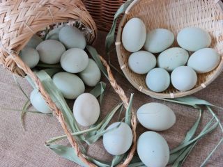 1、100%零失败 出油起沙咸鸭蛋,鸭蛋要选择青皮鸭蛋