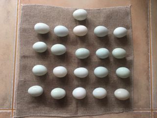 4、100%零失败 出油起沙咸鸭蛋,买的时候明明数着20个 为什么回家就变成21个了呢?!强迫症患者表示很无奈……洗完晾干,着急的话擦干也行。