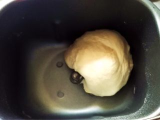 5、迷你潜艇堡,揉好后的面团。