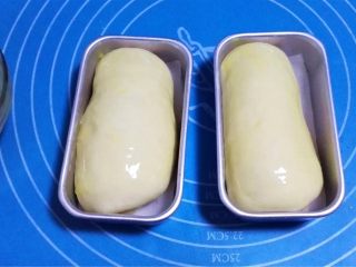 12、迷你潜艇堡,发酵至二倍大，取出，表面刷上蛋液