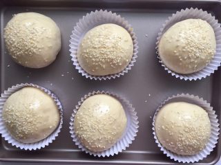 6、劲脆汉堡包,二发好后，面团刷上全蛋液，撒上芝麻，这时烤箱选预热180度10分钟