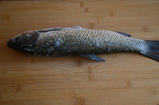 1、酸菜鱼,草鱼一条让市场的师傅收拾好,拿回来撕去鱼肚子里的黑膜, 洗净后擦干水分