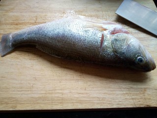 2、年夜饭&年年有余~清蒸鲈鱼之孔雀开屏,鱼从腹部到背部均匀地切条