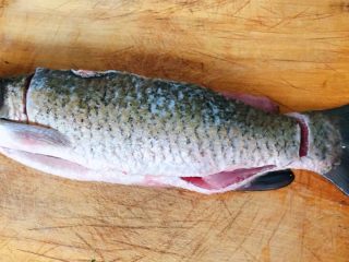 1、酸菜鱼片汤,在市场买到一条鲜活的草鱼让老板给处理一下内脏和杂质回来后洗净备用