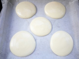 13、家有烤箱+肉松小蛋糕,裱花袋尖嘴处剪口，在铺了油纸的烤盘上挤出大小合适的圆形，我挤的有点大了????????放入预热好的烤箱中层170度20分钟，（我的温度，时间只做参考，可根据自家烤箱自行调节）