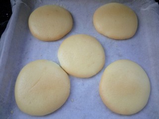 14、家有烤箱+肉松小蛋糕,烤好的蛋糕取出静置一会回软