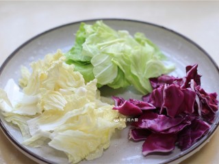 2、捞汁手撕拌菜,紫甘蓝，白菜，洋白菜洗净撕成小块，备用。