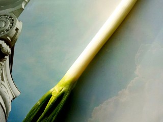 4、香脆饺子皮葱油饼,取一根大葱，洗净备用