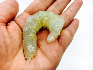 14、#绿色美食# 下饭神菜  面筋丝瓜煲,鲜虾去皮。