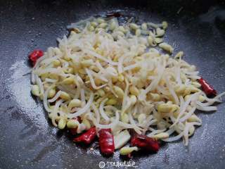 6、豆芽炒粉条,放入黄豆芽翻炒至豆芽变软