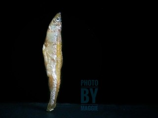 2、香辣下饭菜～客家小炒鱼干,来个特写，艺术照????