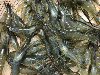 1、河虾豆腐汤,这种就是我们这最常见的河虾。