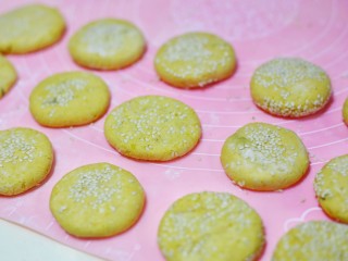 8、奶香南瓜芝麻饼,然后压扁，上面撒一层白芝麻。