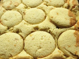 17、肉松小贝,稍微晾凉的蛋糕片，用圆形模具挖出蛋糕片，我用了瓶盖。