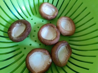 4、香菇烤太阳,挤干水份，去把