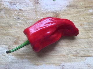 5、蔬菜沙拉,红椒一个