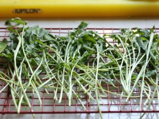 6、芝麻菜西柚鸡肉沙拉,芝麻菜洗净并沥干水分。