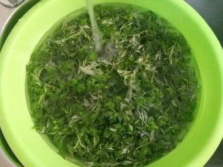 3、豆沙青团,摘好的艾叶放清水里多冲洗几次
