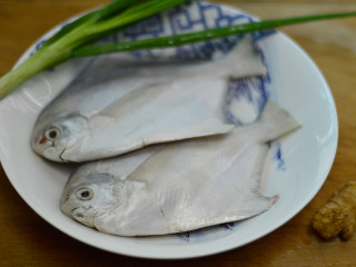 1、清蒸白鲳鱼,材料准备好