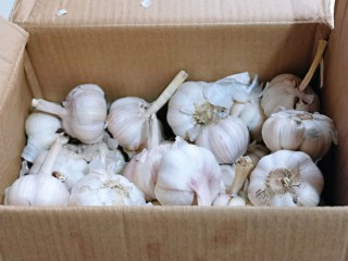 1、自制蒜蓉辣酱,买的一箱大蒜，正发愁不知道怎么吃，朋友给了灵感。