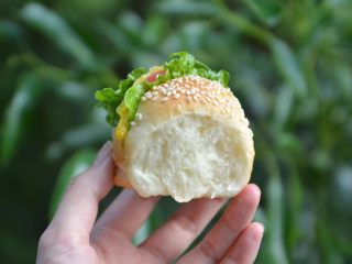 18、花环汉堡(植物油直接法),口感组织都还不错