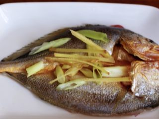 5、清蒸剁椒黄花鱼,把黄花鱼翻到正面后、上面铺上一层葱段和姜丝