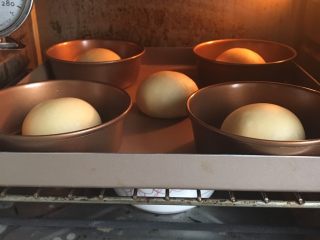 7、只需一发的葱香芝士包,烤箱放一碗开水,30度的温度发酵一小时。