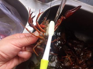 12、青花椒辣卤小龙虾,煮卤水的时候来处理小龙虾,先用小刷子或牙刷,把小龙虾的肚子啊,背啊,全部刷洗干净。如果怕咬到手,可以先把钳子剪掉再刷洗就会安全些,但是如果想做出来的样子好看些,那就冒一下风险留着钳子直接刷洗。