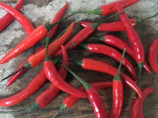 14、麻婆豆腐,小米椒洗干净