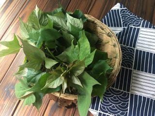 2、凉拌红薯叶,选择红薯叶的尖部位口感才好，摘下来洗净备用。称了一下有80克重，收获满满哦！