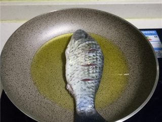 6、豆瓣鱼,放入鲫鱼，用中小火煎黄；