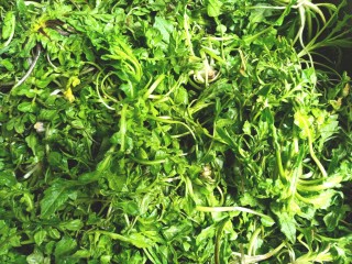 1、凉拌荠荠菜,荠荠菜摘好洗净，在清水中泡一会