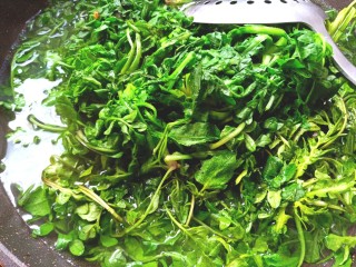 2、凉拌荠荠菜,锅中烧水下开水中焯一分钟，捞出过凉水。