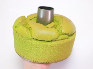 25、低糖少油菠菜戚风,脱模ing