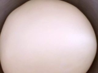 4、老式面包,面团揉好后进行一次发酵