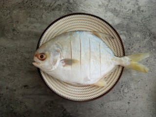 2、清蒸金昌鱼,在金昌鱼前后背上划几个小口，注意不要华深了