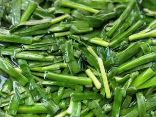 8、凉拌千张韭菜,锅中水烧开，放春韭，煮沸即刻捞出沥干。