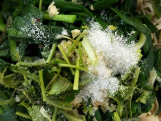 12、凉拌千张韭菜,放盐和白糖。