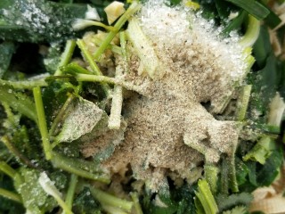 13、凉拌千张韭菜,放白胡椒粉。