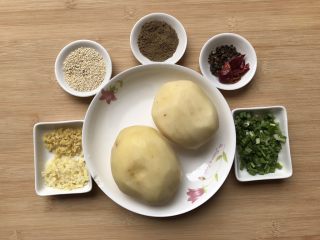 1、孜然土豆条,材料准备如上图：分别蒜，姜，熟芝麻，孜然粉，花椒，干辣椒，葱，土豆