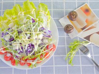 13、没胃口的时候,来一道酸溜溜酸奶沙拉,富含果蔬营养又开胃,夏天这么吃是不是很棒呀!颜色也和夏天很搭。学会了记得交作业啊!