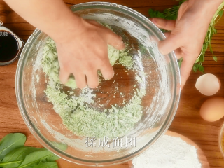 13、豌豆苗树叶饺子,把美食吃出艺术感,揉成紧致的面团;