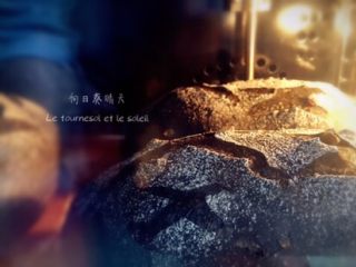 12、墨鱼芝士面包,烤箱预热220°C，入炉前通蒸汽4s，前三分钟再通2s，200°C30min左右。（我用的是风炉，当然平炉加石板会更好，但是我没有，小烤箱烤欧包不太合适。没蒸汽的用烤盘装开水加沸石代替，中途撤离开水。）