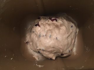 3、黑麦蔓越莓软欧,放入盐、糖揉至扩展，加入黄油、蔓越莓干揉匀