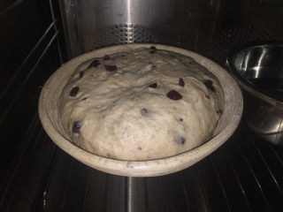 6、黑麦蔓越莓软欧,发酵篮倒入少许面粉，转均匀后倒掉多余的面粉，面团搓圆后放入发酵篮，放入烤箱，设置38度，60分钟进行二发（放碗热水保持湿度）
