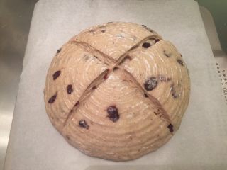 8、黑麦蔓越莓软欧,将面包倒出，刀片割“X”字