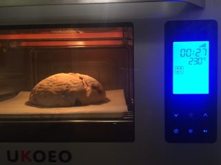 9、黑麦蔓越莓软欧,烤箱设置高温蒸烤，230度15分钟