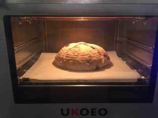 10、黑麦蔓越莓软欧,将温度降至210度再烤10-15分钟（注意上色，一不小心稍稍深了点）