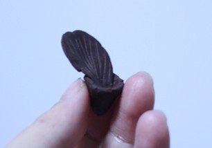 8、浓情巧克力礼盒,将第一片花瓣放在花托上。依次放上剩余的花瓣。使每一片花瓣都压着上一片花瓣